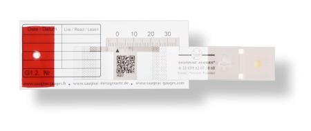 Saugnac Rissmonitor G1.2