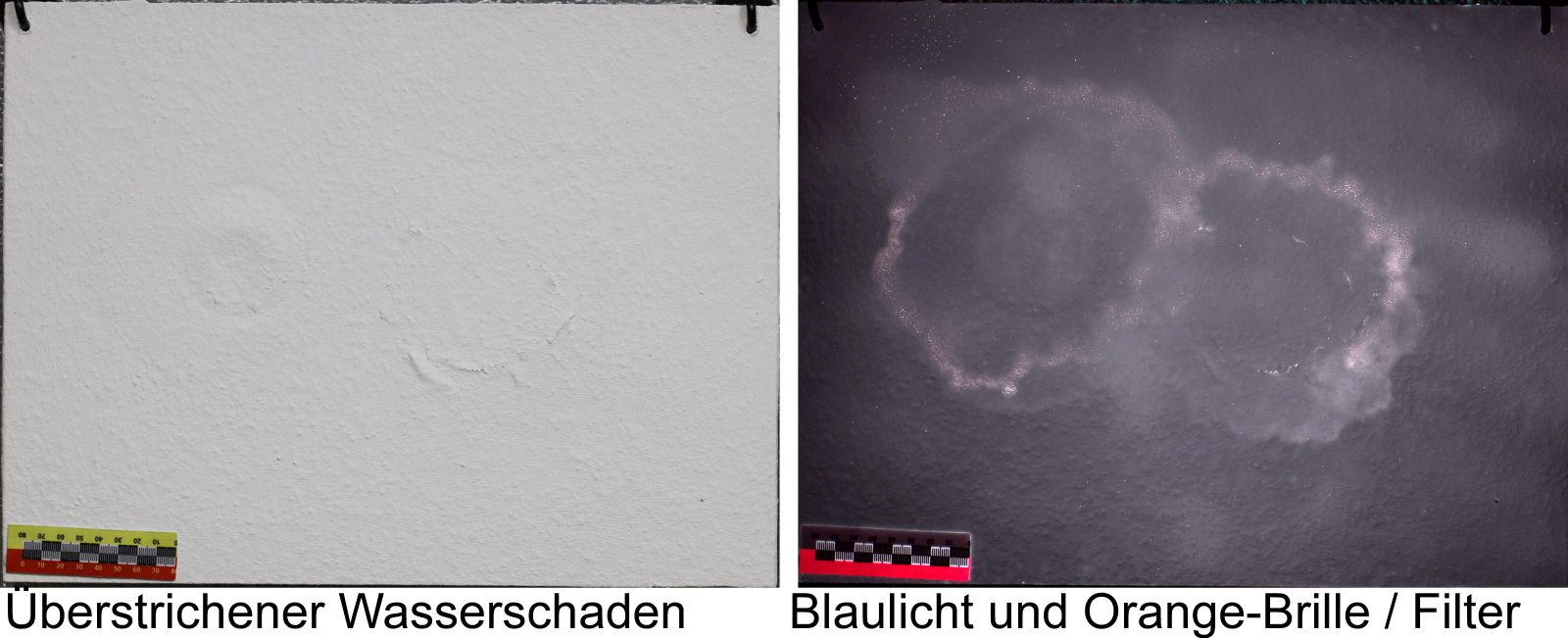 SV-Artikel - Blaufilter 72 mm im Durchmesser