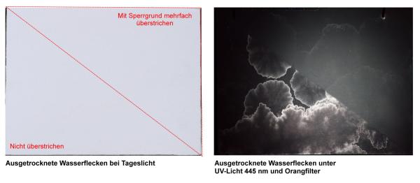 Beispiel für 445nm UV-Lampe