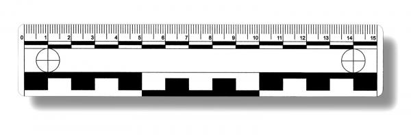 photo ruler